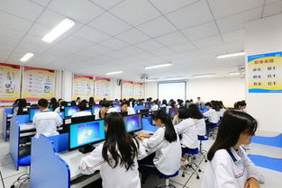 各專業(yè)學(xué)生就業(yè)方向 會計(jì)電算化 食品營養(yǎng)與檢測